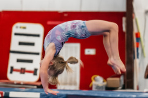 tumbling-home-tile tumbling-home-tile